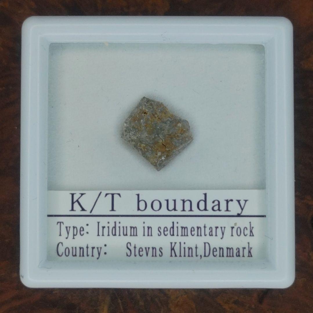 入手不可！小惑星のかけら Ｋ-Ｔ境界層（K/Pg境界頁岩）　標本　中