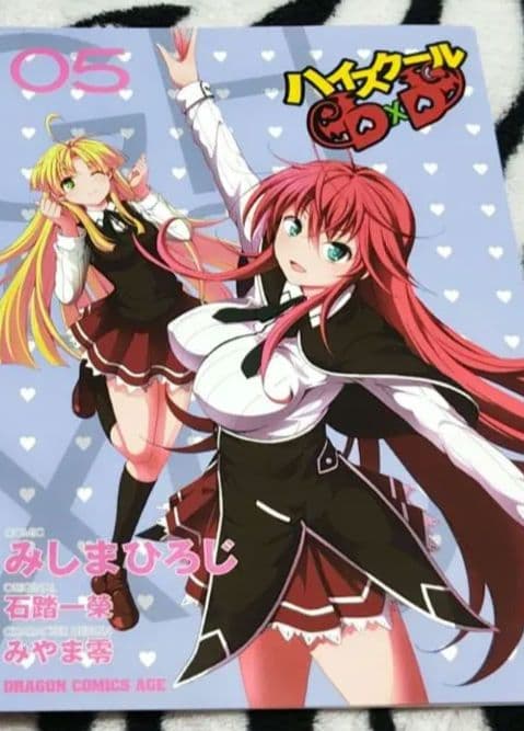 ハイスクールD×D ⑤ ゲーマーズ 特典 ブックカバー NOT FOR SALE