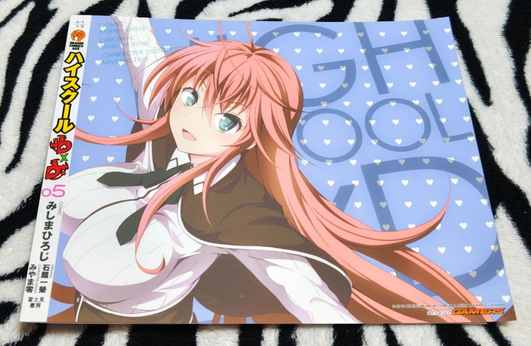 ハイスクールD×D ⑤ ゲーマーズ 特典 ブックカバー NOT FOR SALE