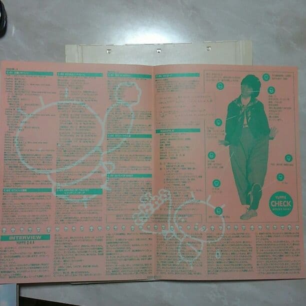 酒井法子　デビューVHD