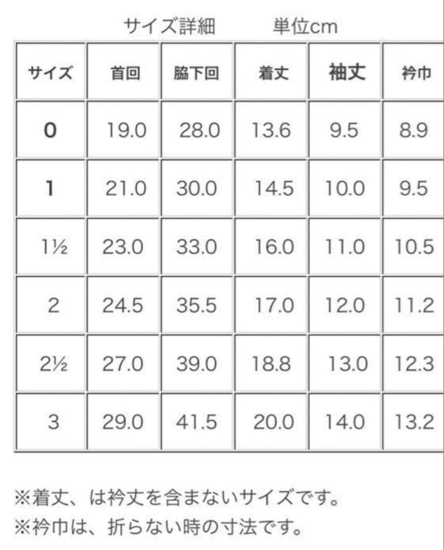 アトリエGG BulkyBulkyTurtle 1½