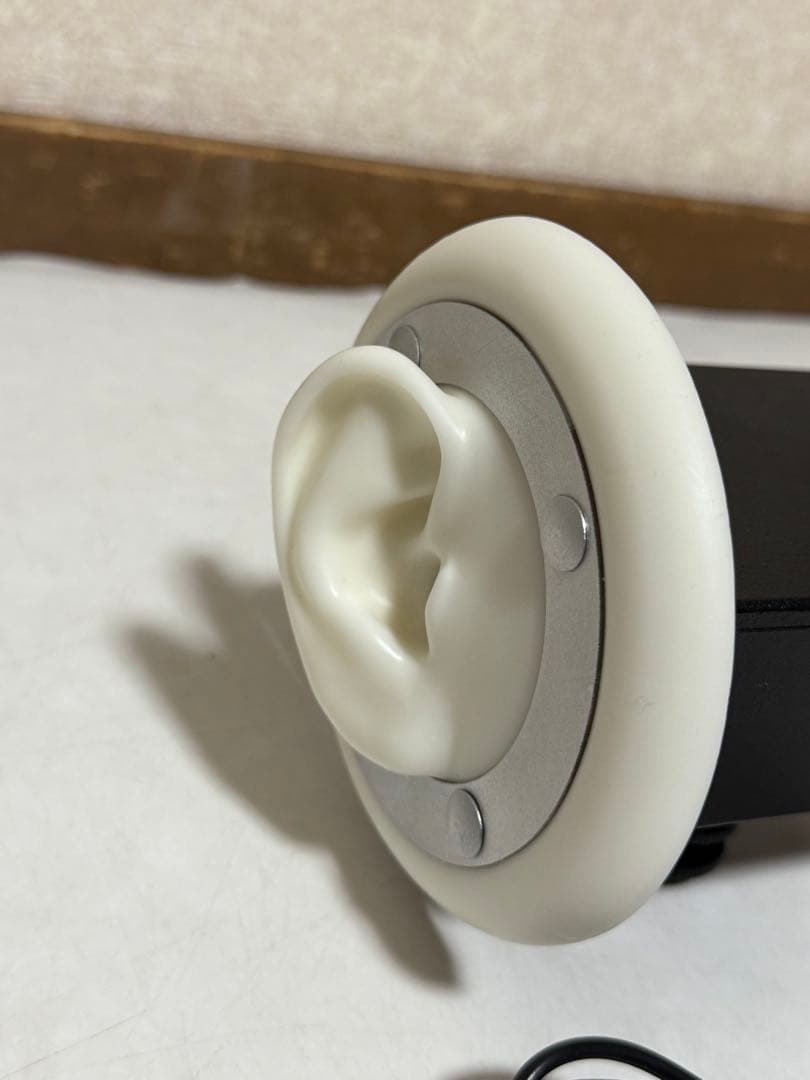 3Dio FS free space ASMR バイノーラルマイク