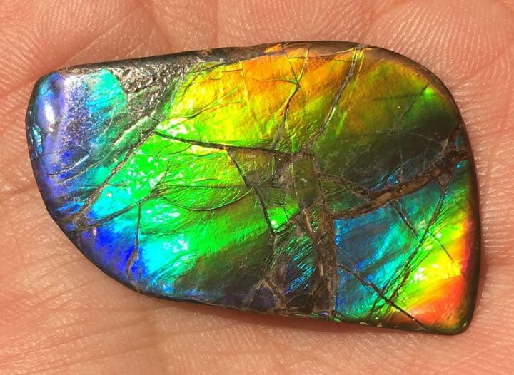 【セール】IMPERIAL アンモライト 両面レインボー レアルース