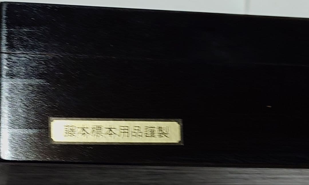 f*t様 藤本標本用品製