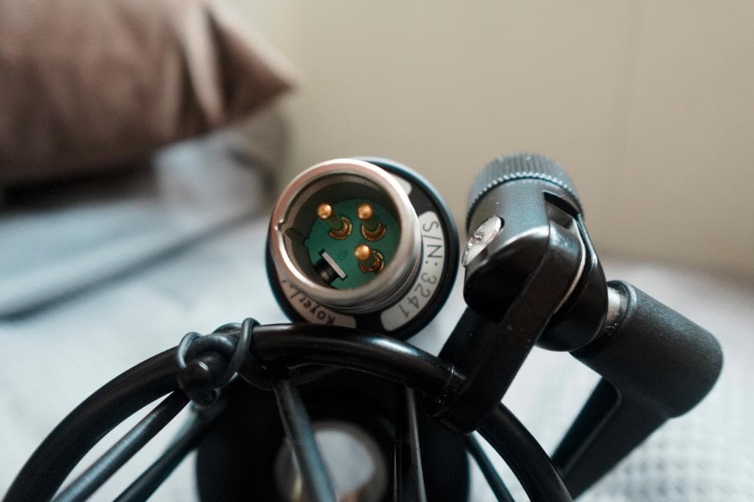 【状態】A ROYER r101 レコーディング　リボンマイク