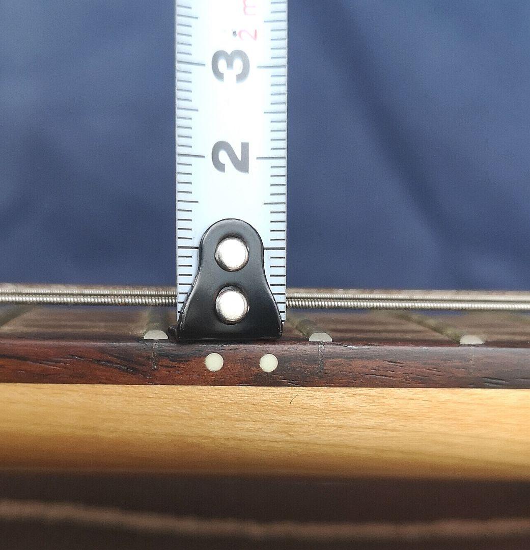 TARGET by FERNANDES モッキンバード エレキギター