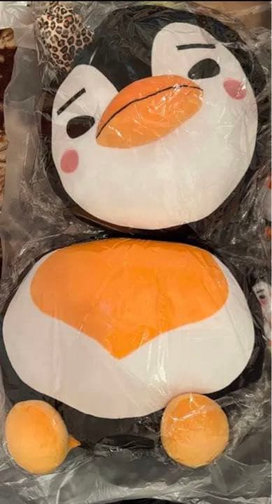 2PMジュノ　セット