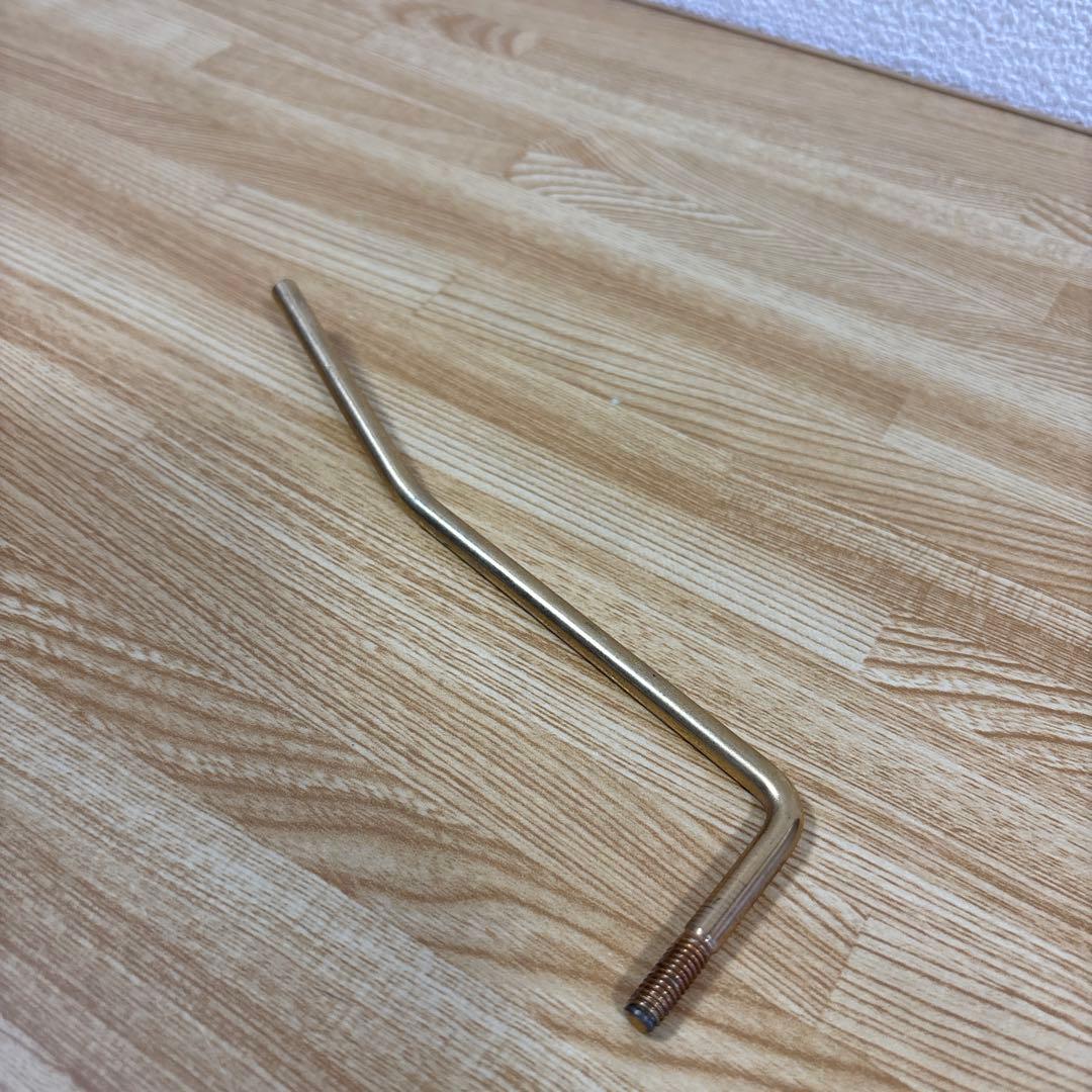 Chatting Bird By CAPARISON エレキギター