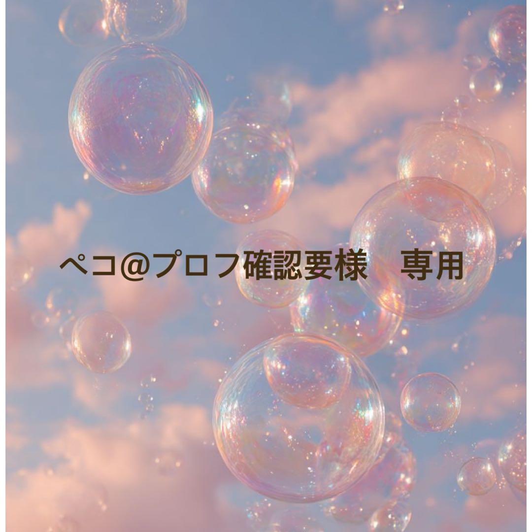 ペコ@プロフ確認要　ぬいぐるみ