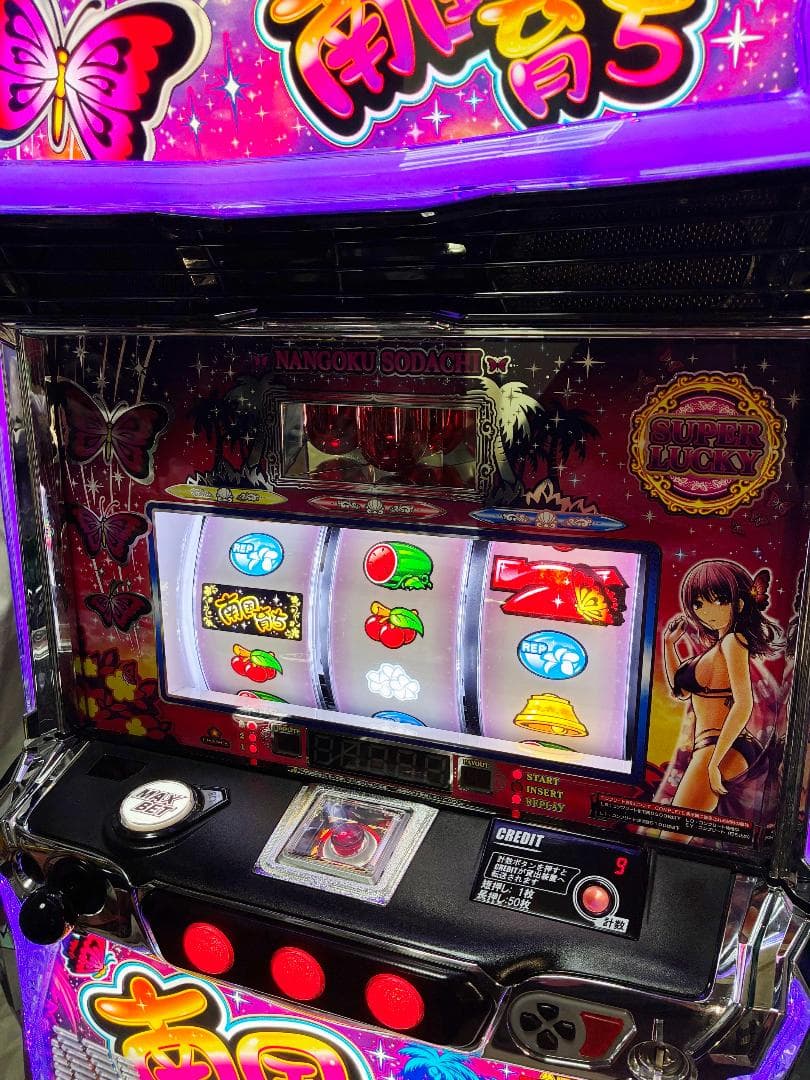 スマスロ 南国育ち☆データカウンター付属、遊技可能ユニット付☆送料込み