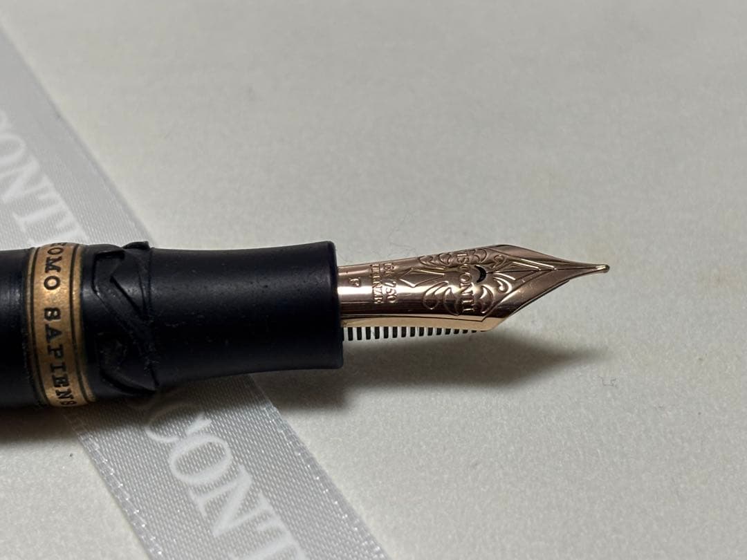 VISCONTI ビスコンティ ホモ・サピエンス　万年筆　F