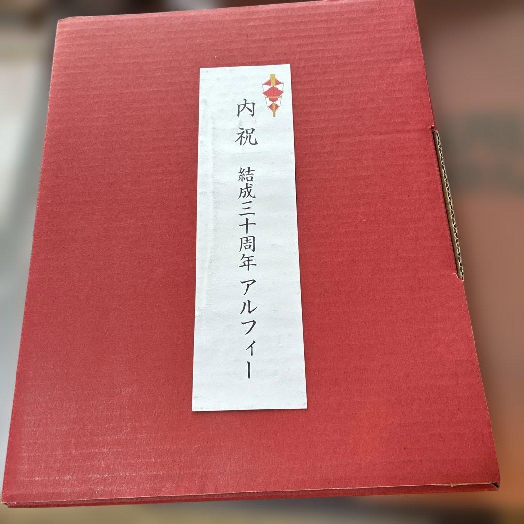 THE ALFEE パンフレット、写真集セット