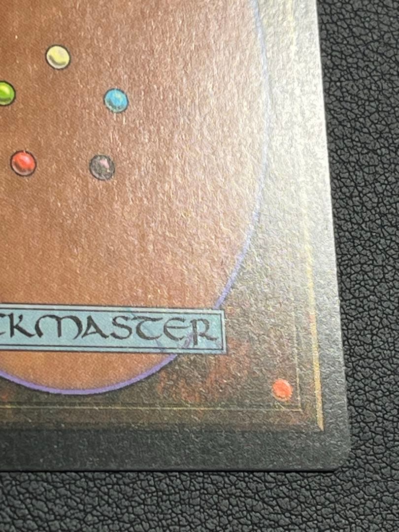 MTG 大地の知識　日本語　テンペスト