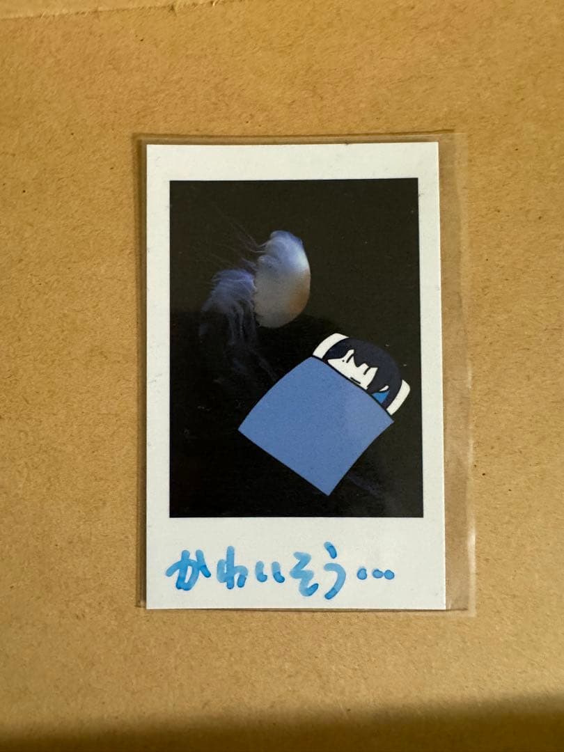 Ado 直筆メッセージ入りチェキ