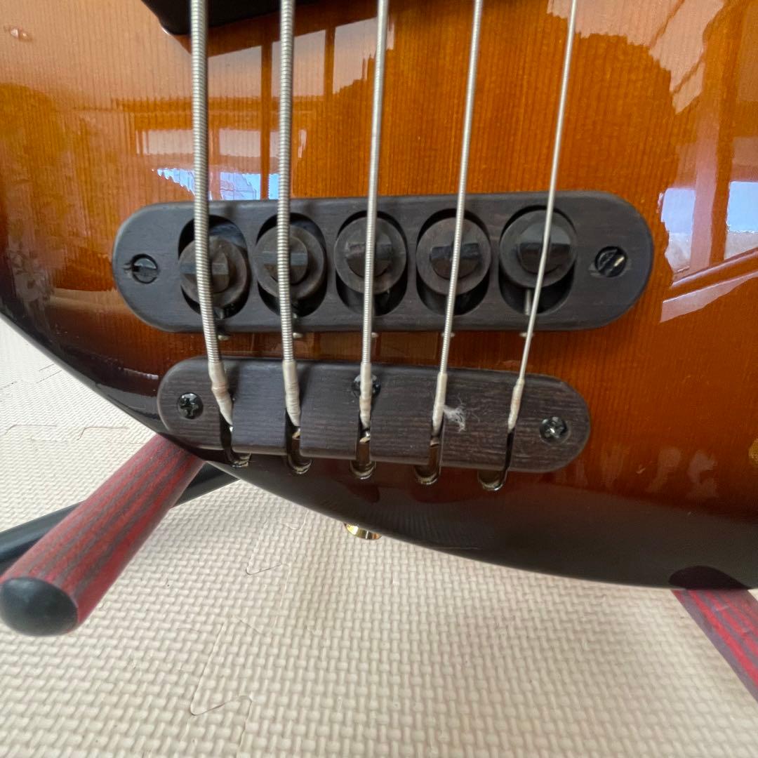 ◎希少品 TUNE SBB-365 セミアコ 5弦ベース