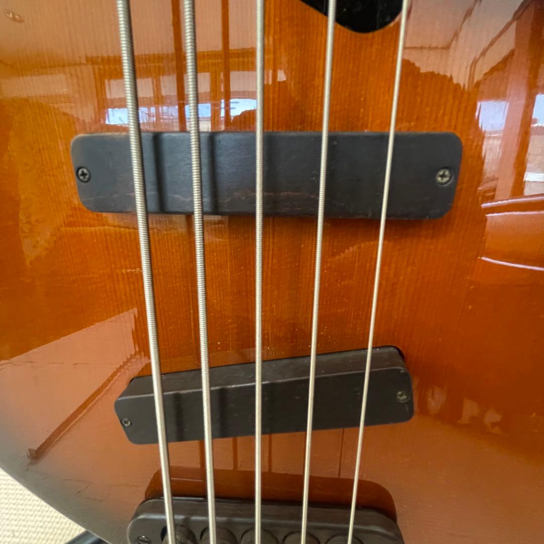 ◎希少品 TUNE SBB-365 セミアコ 5弦ベース