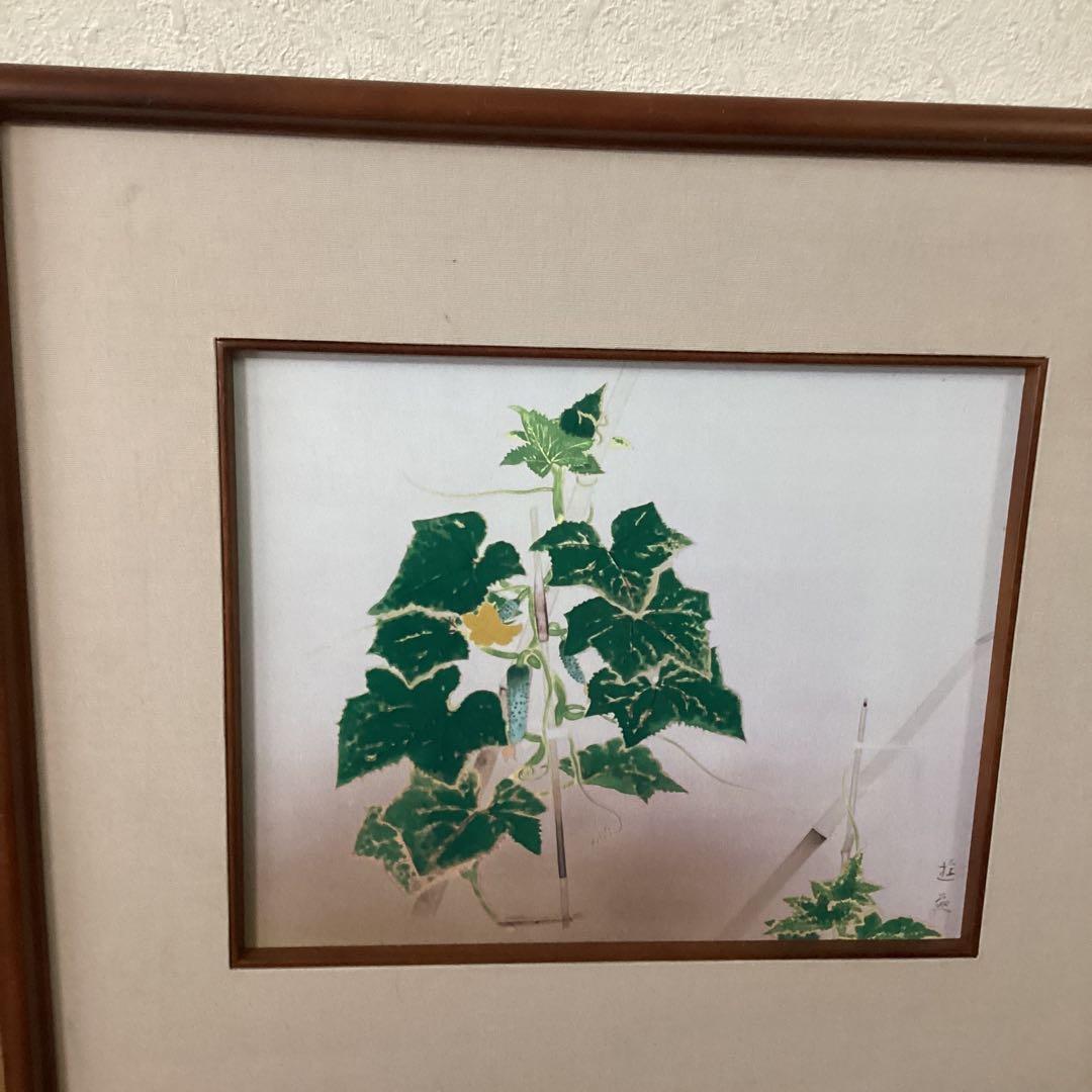 小倉遊亀【オグラユキ】1928年作胡瓜　滋賀県立近代美術館所蔵　陶額　レア品