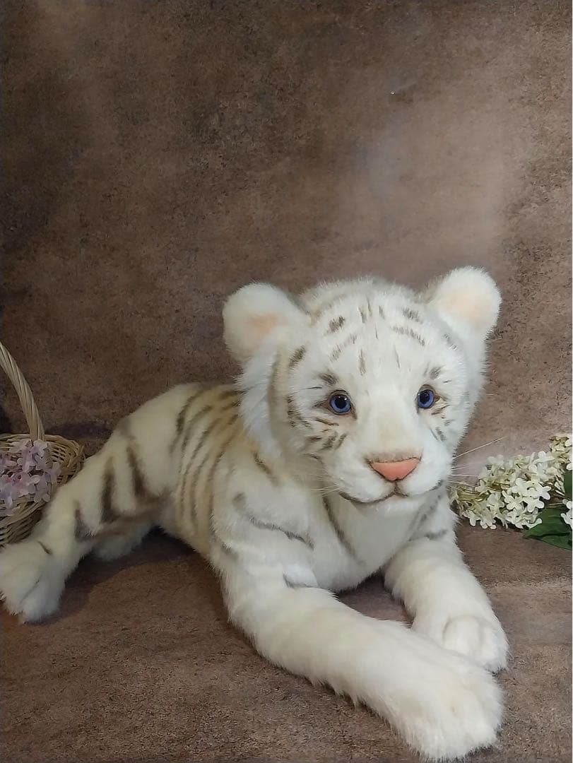 海外作家様作　アートドール　ホワイトタイガーの子供