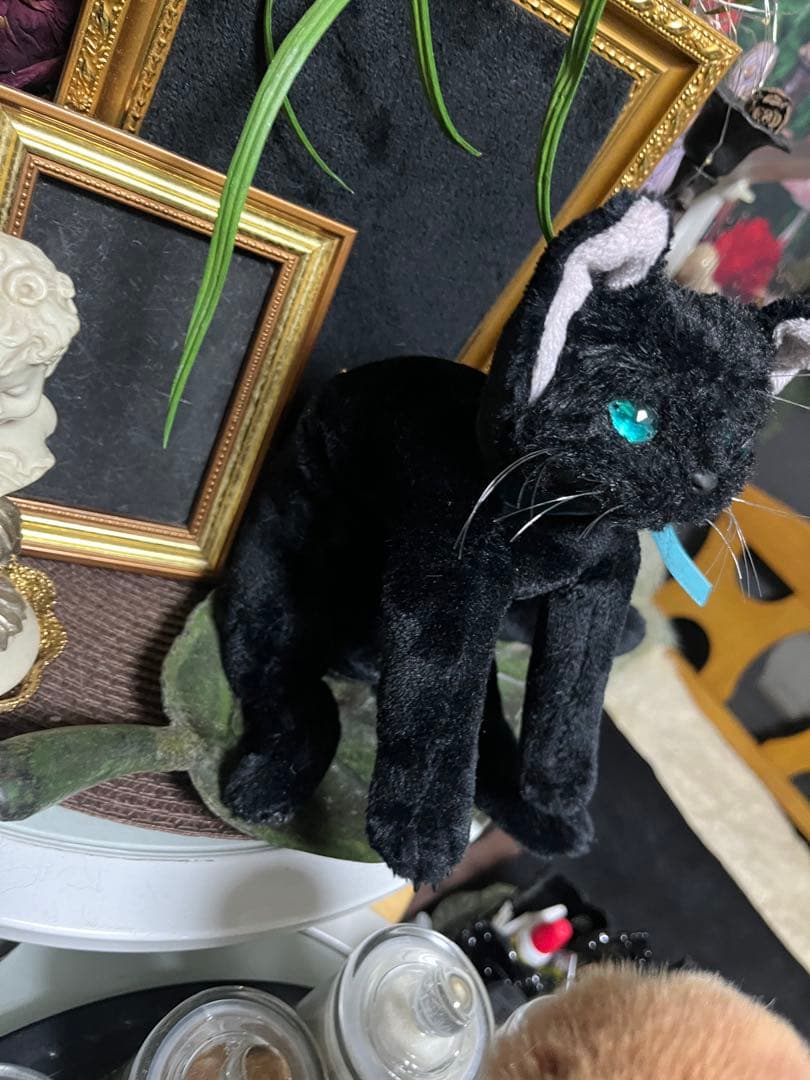 ブラックキャット アイピロー