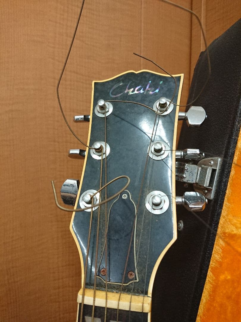 H1 アコースティックギター Chaki W-50 ピック多数 ハードケース付き
