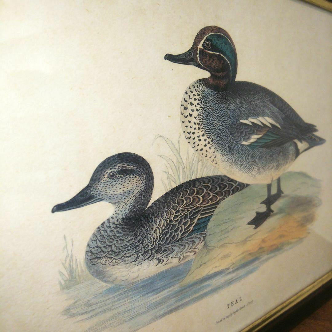 M*e様 Grafiche Tasgotti イタリアン プリント 水鳥 ４点セ