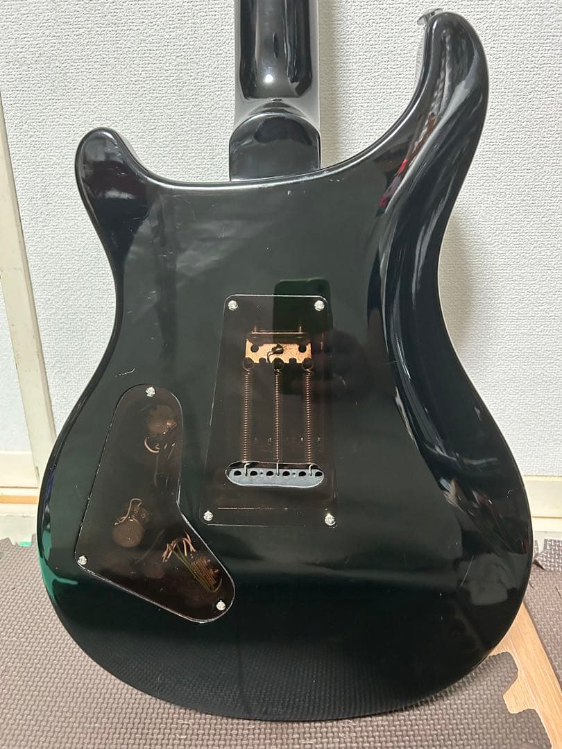 ギター PRS SE Custom 24 Paul Reed Smith flattop