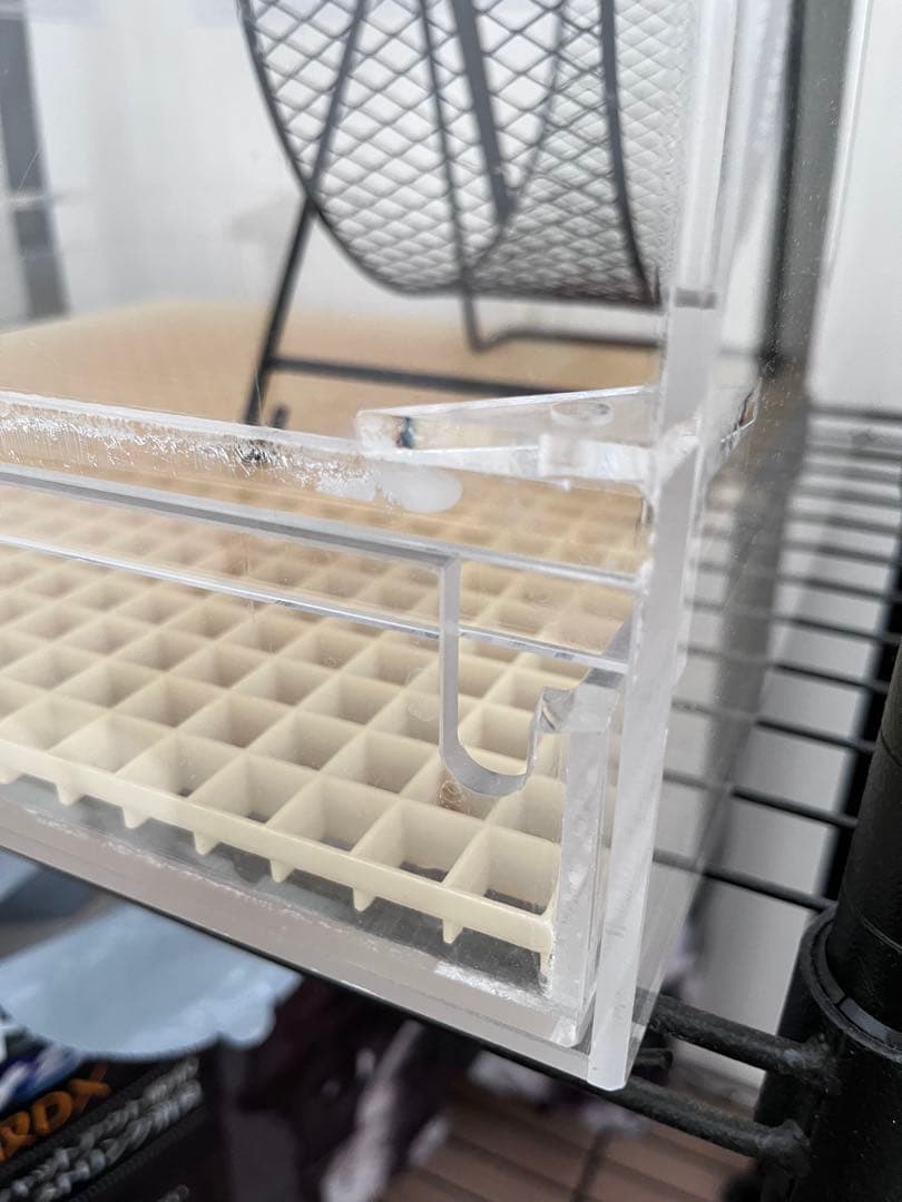 フクロモモンガ　アクリルケージ　ねくすと