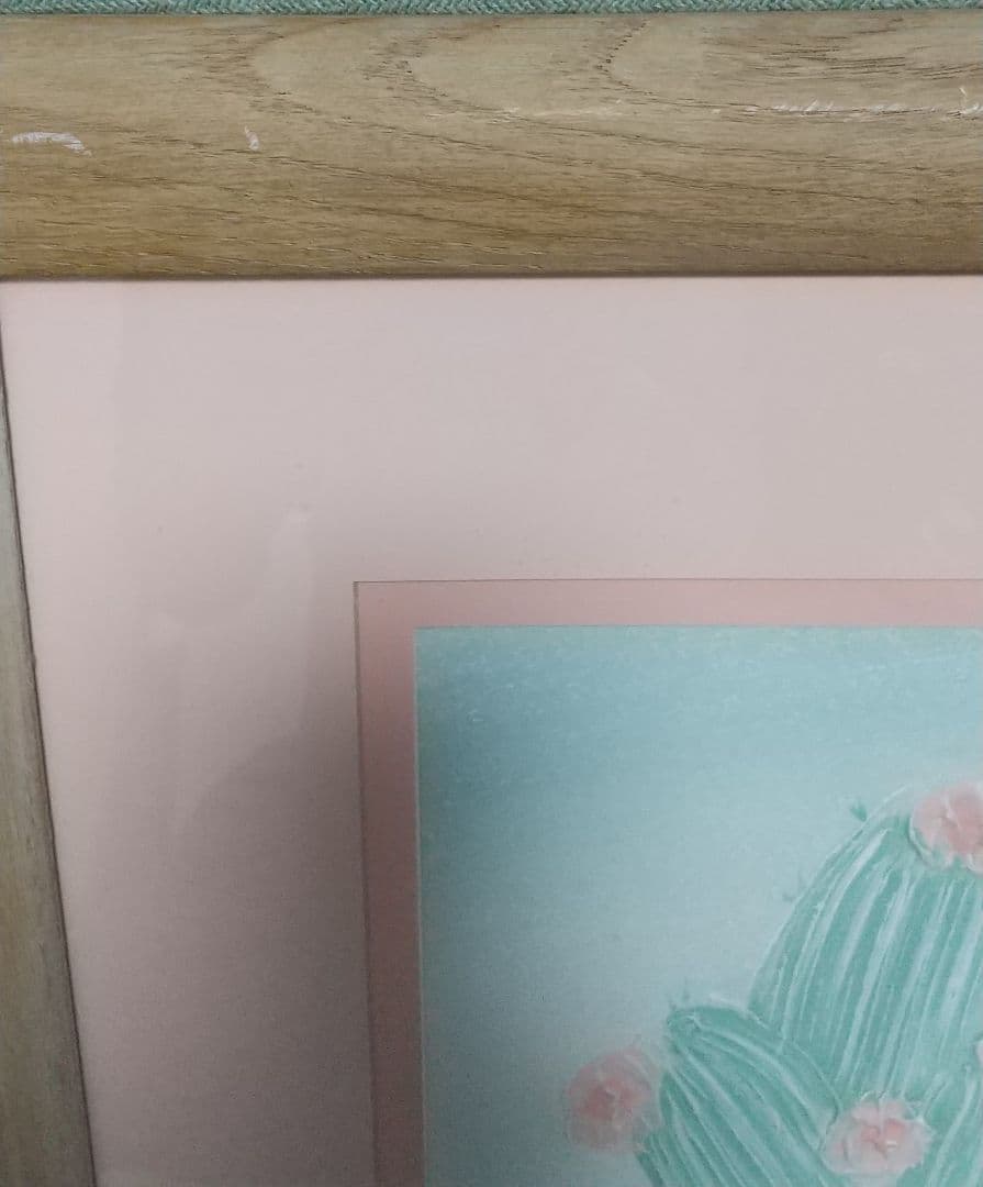 ヴァンガードスタジオ　サボテン　アンドレ　Vanguard Studio