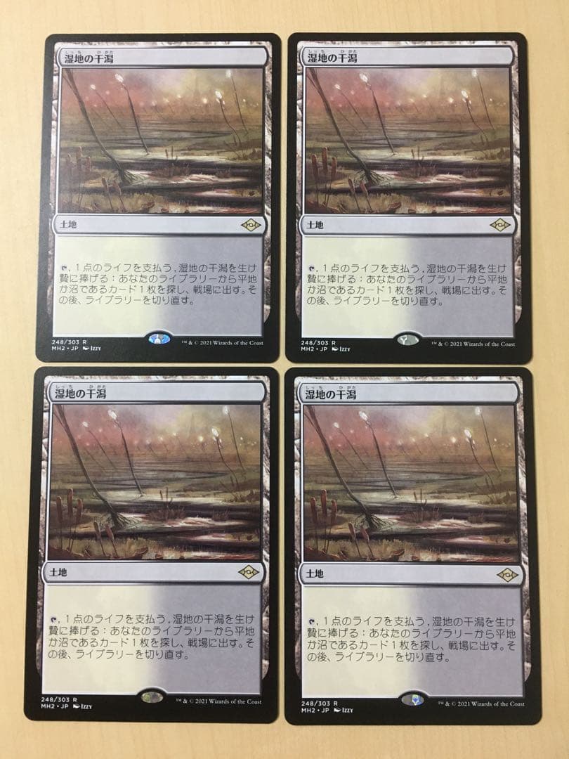 MTG 湿地の干潟 日本語 4枚