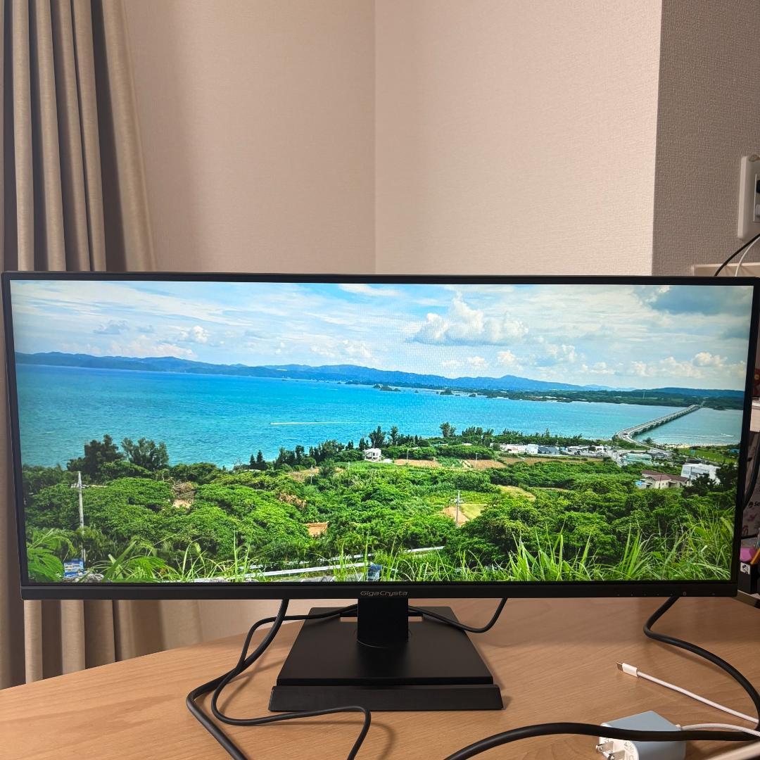 IODATA 29インチ ウルトラワイドモニター EX-LDGCWF291SDB