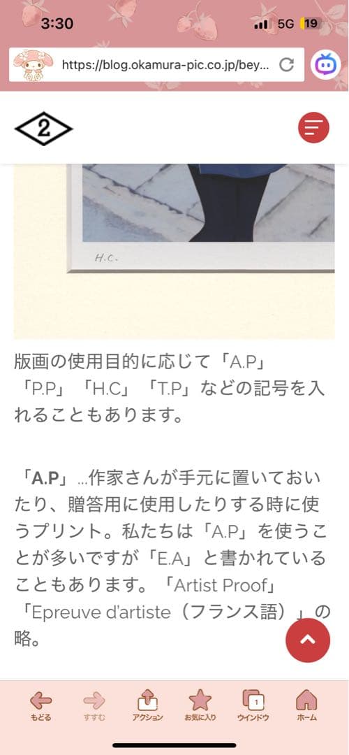 ❤️極稀少・大型の美品❤️レオノール・フィニのデイディランブ