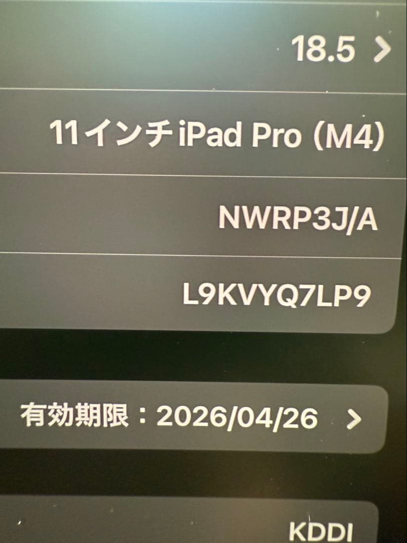 iPad Pro 11 セルラー　1TB Nano-texture キーボード付