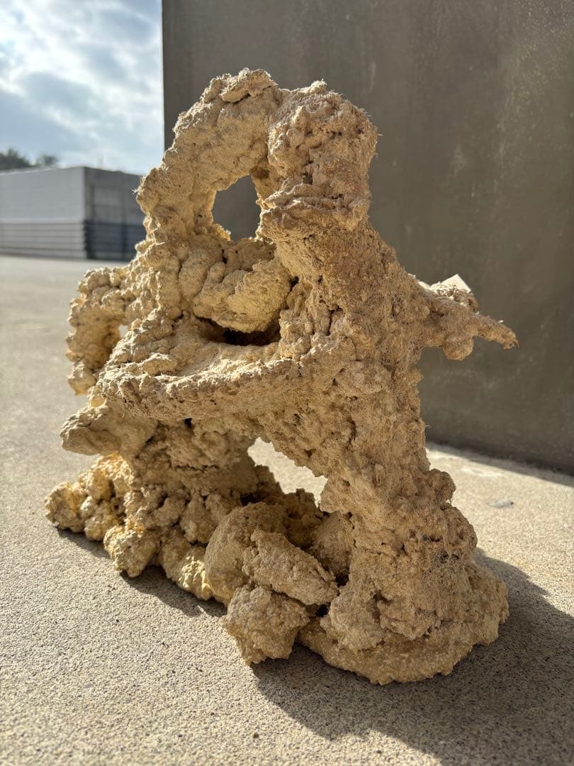 #2 人工ライブロック30cm【一点物】