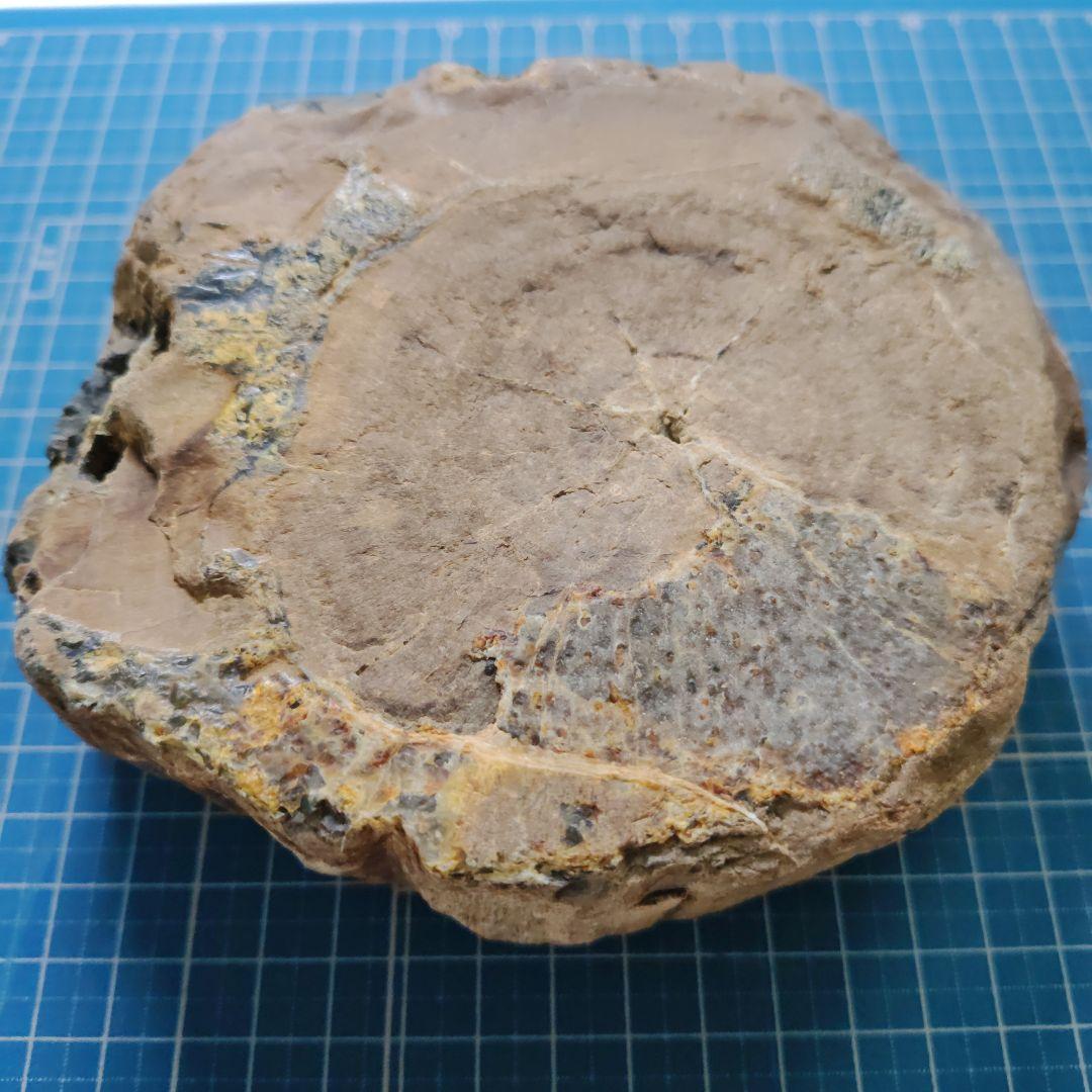 多彩な色の自然石（津軽錦石）原石、管理Ｎｏ．71238