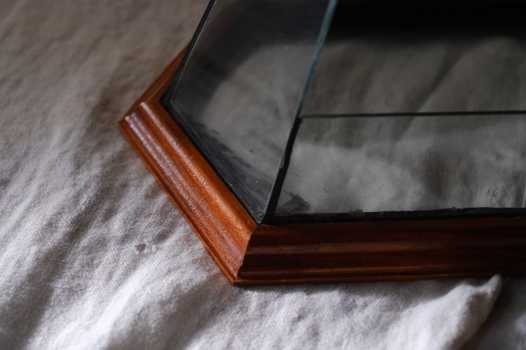 フランスアンティーク｜ヘキサゴンのテラリウム