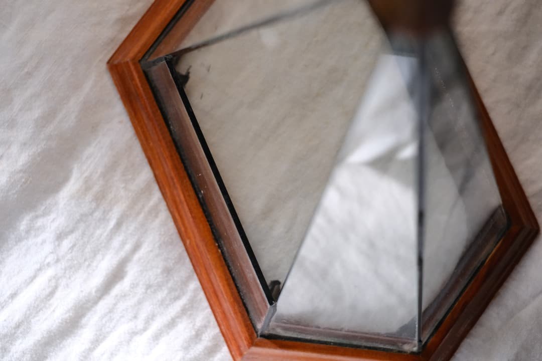 フランスアンティーク｜ヘキサゴンのテラリウム