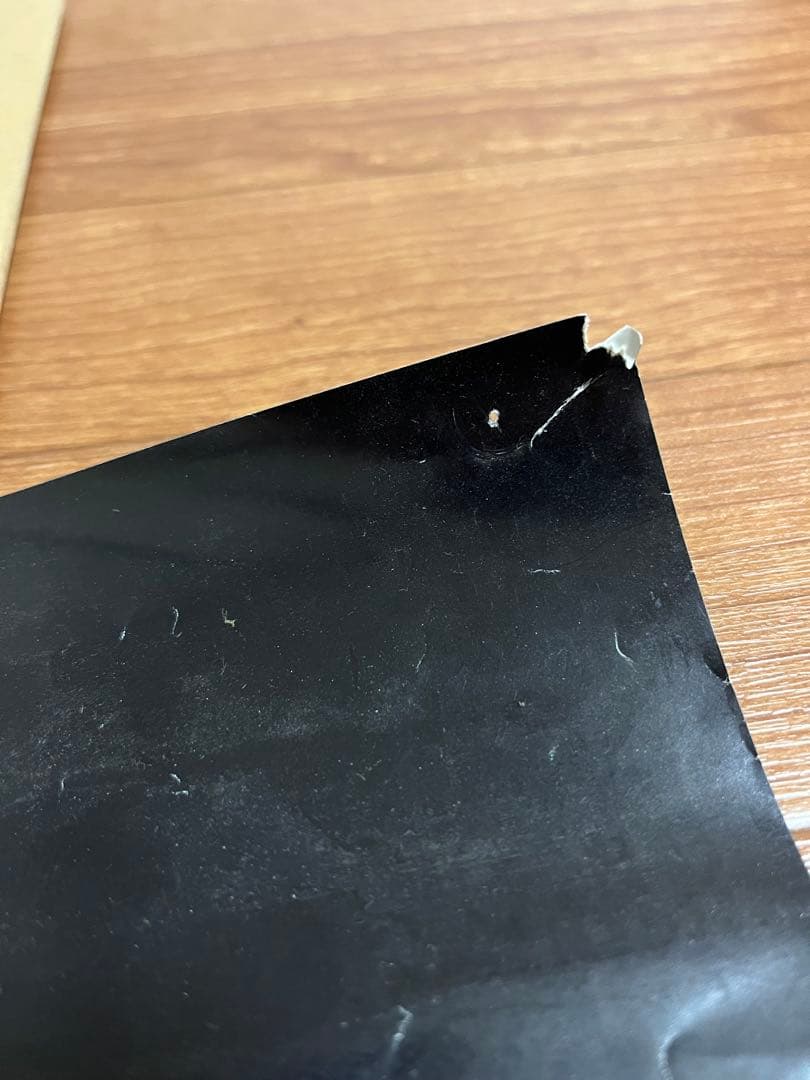 スピッツ ハヤブサ ポスター