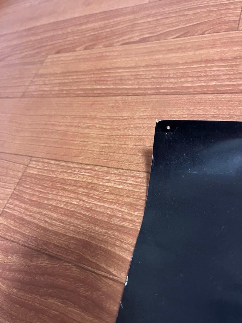 スピッツ ハヤブサ ポスター