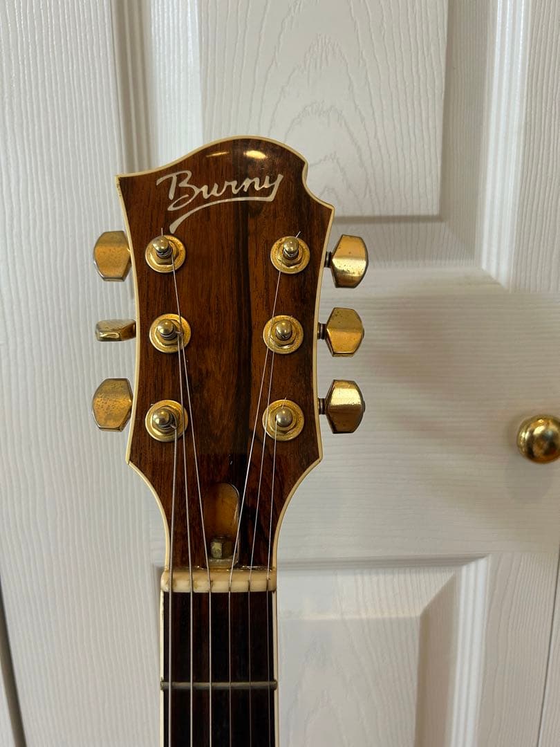 フェルナンデス mg 85x hide モデル　ギター