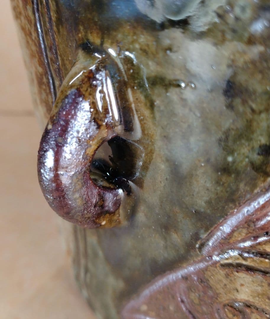 金城次郎 双魚紋抱瓶 共箱 栞ｗ22,3㎝【本物保証】壷屋人間国宝 栞 美品