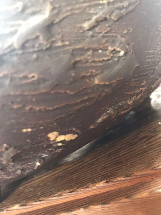 盆栽鉢　松皮盆栽鉢手作り盆栽鉢希少植木鉢山野草鉢3つ足25cm木肌作り