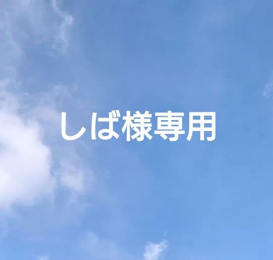 グラブル グラフェス2024 抱き枕カバー(ベリアル) 1点