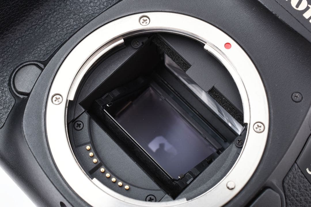 付属品付き/Canon EOS 5D mark III標準&望遠レンズセット