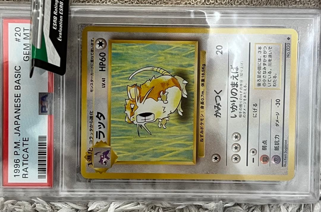 【激レア】ラッタ 第1弾拡張パック 旧裏 ワンオーナー品 psa10