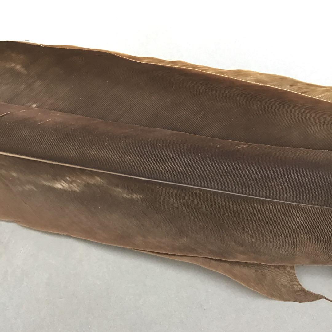 茶道具　羽箒(孔雀羽入り) 紙箱(修復歴あり、紙箱劣化有)　S21HB