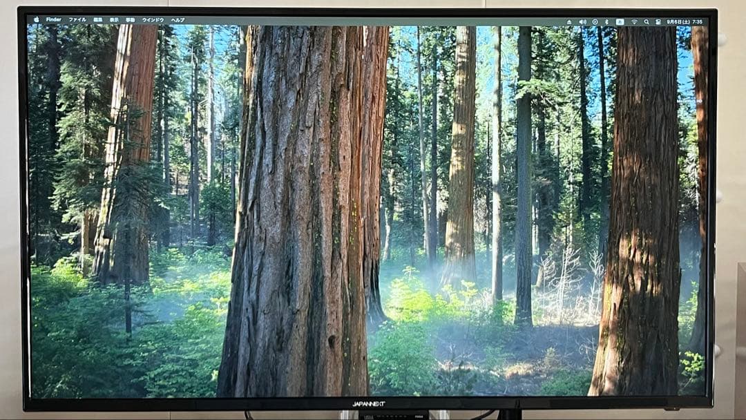 JAPANNEXT 液晶モニター 43インチ IPSパネル