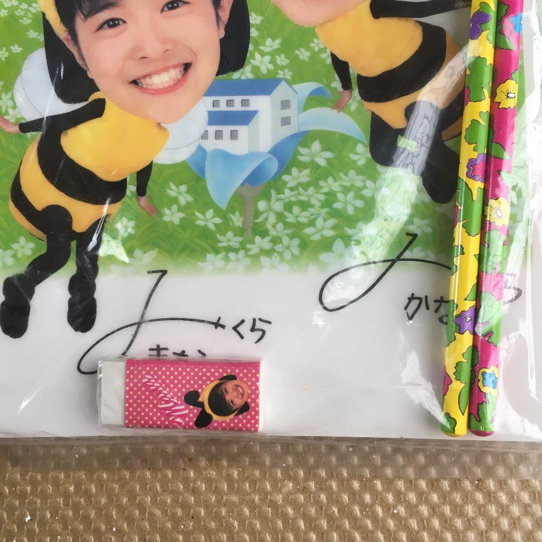 0701 みくらまな みくらかな まなかな 下敷き 29セット