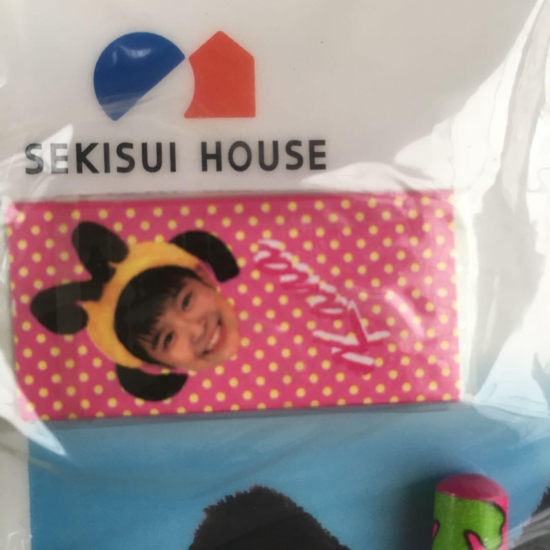 0701 みくらまな みくらかな まなかな 下敷き 29セット