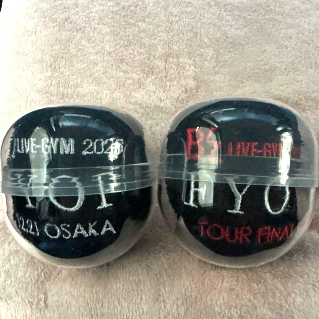 B'z LIVE-GYM2025 FYOP 大阪ファイナル　リストバンドセット