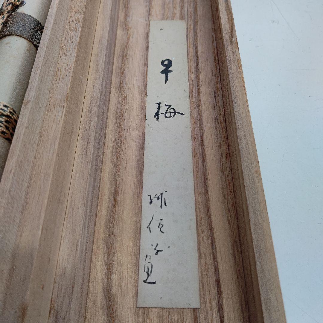 掛軸 『早梅』梶原緋佐子 日本画